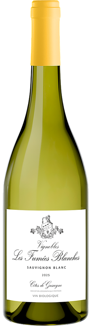 Grands vins - Nizas